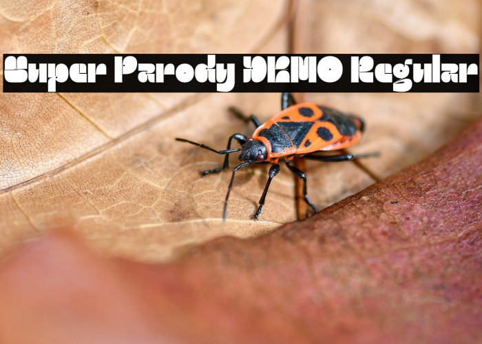 Super Parody DEMO Regular Example 2