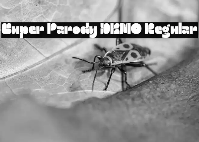 Super Parody DEMO Regular 字体 examples