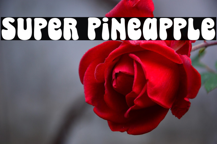 Super Pineapple Example 2