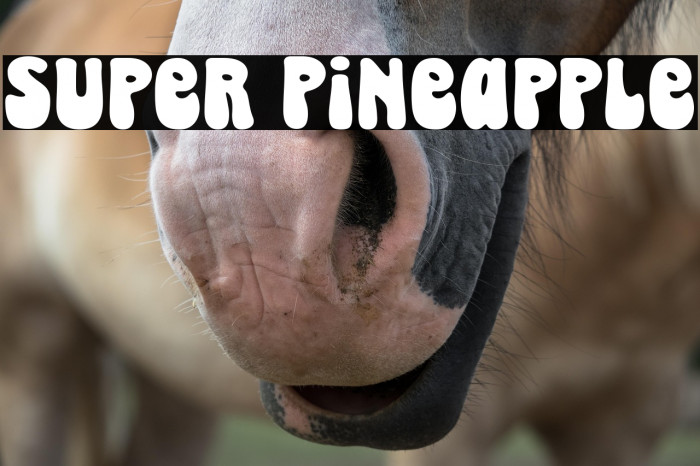 Super Pineapple Example 3