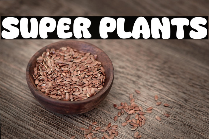 Super Plants Example 2