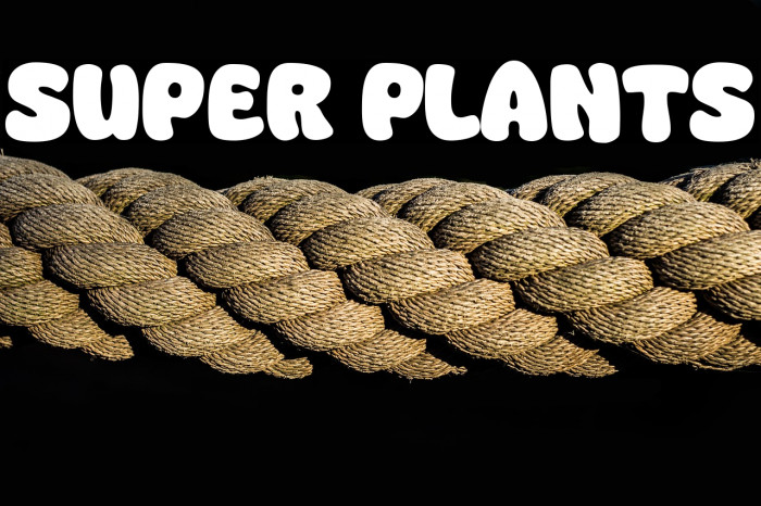 Super Plants Example 3