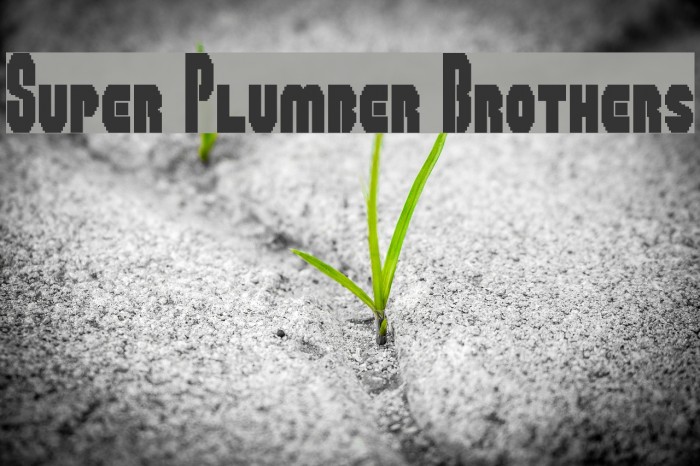 Super Plumber Brothers Font examples