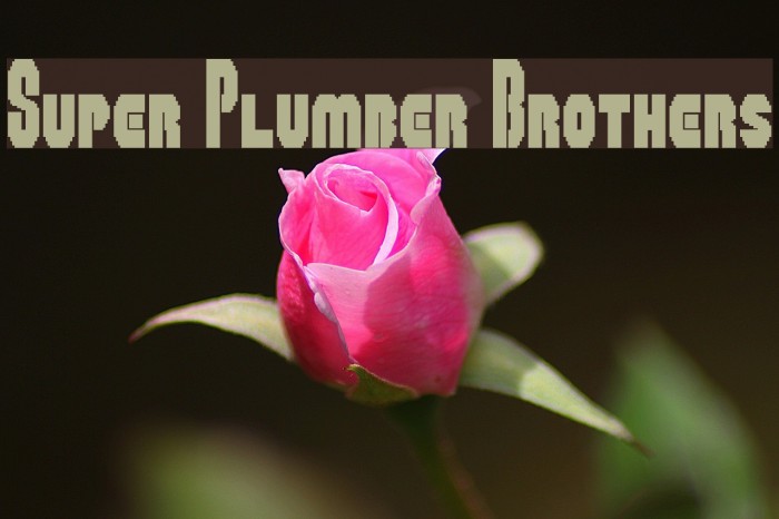 Super Plumber Brothers Font examples