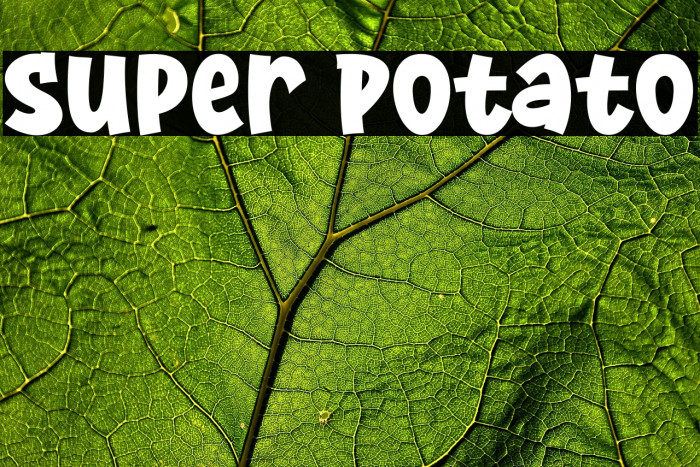 Super Potato Example 1