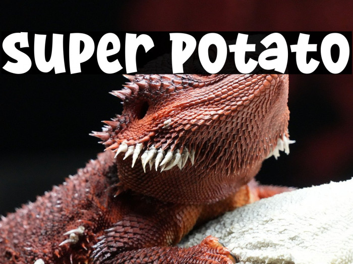 Super Potato Example 3