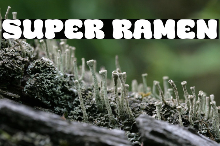 Super Ramen Example 3