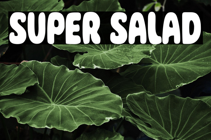 Super Salad Example 2