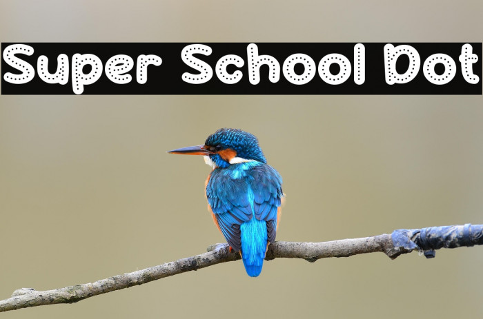 Super School Dot Example 2