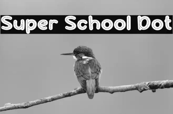 Super School Dot 字体 examples