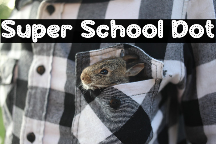 Super School Dot Example 3