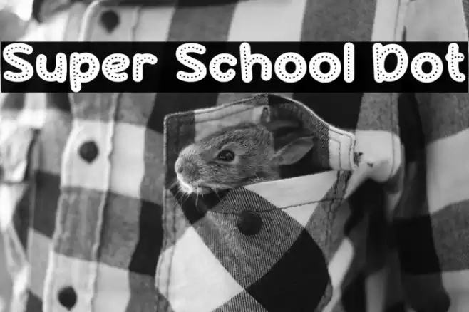 Super School Dot 字体 examples