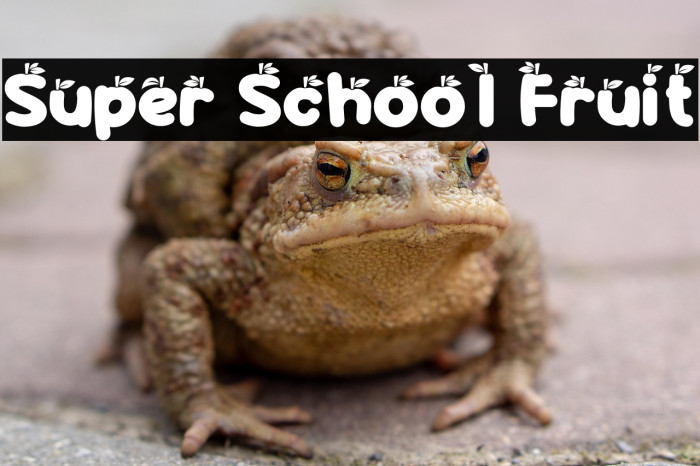 Super School Fruit Example 2