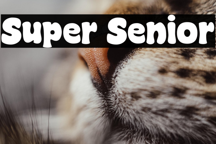 Super Senior Example 3