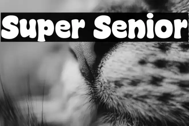 Super Senior Font examples