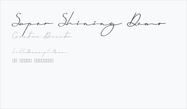 Super Shining Demo Business Card