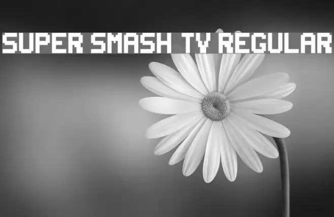 Super Smash TV Regular Font examples