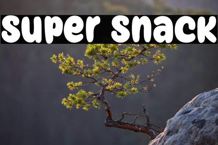 Super Snack Example 2