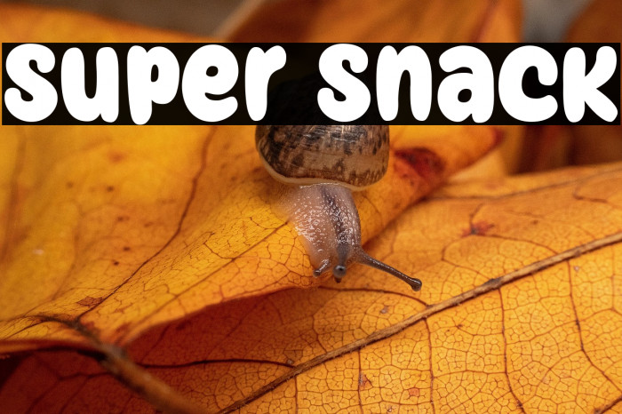 Super Snack Example 3