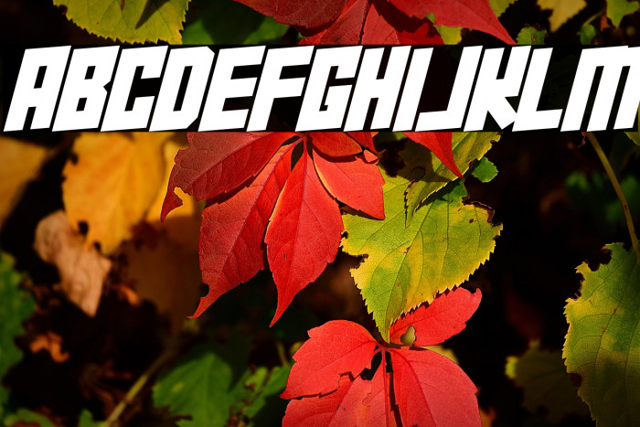 Super Squad Italic Example 3