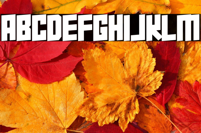 Super Squad Example 2