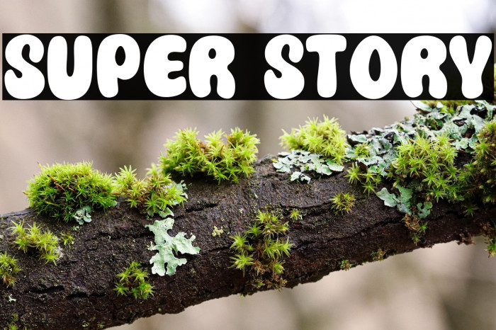 Super Story Example 1