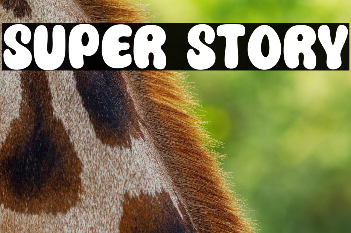 Super Story Example 3