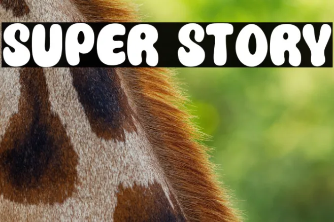 Super Story Example 3