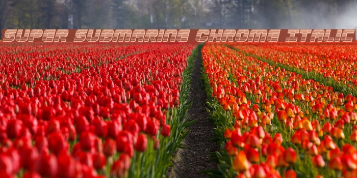 Super Submarine Chrome Italic Example 1
