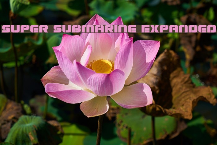 Super Submarine Expanded Example 1