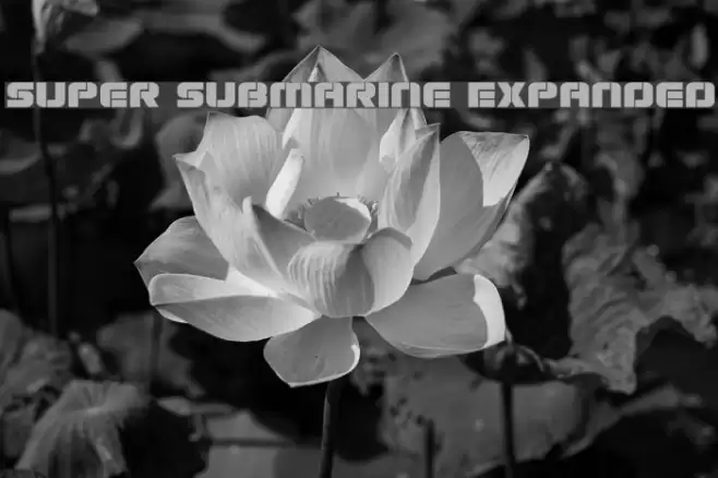 Super Submarine Expanded Font examples