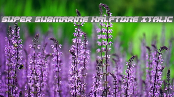 Super Submarine Halftone Italic Font examples