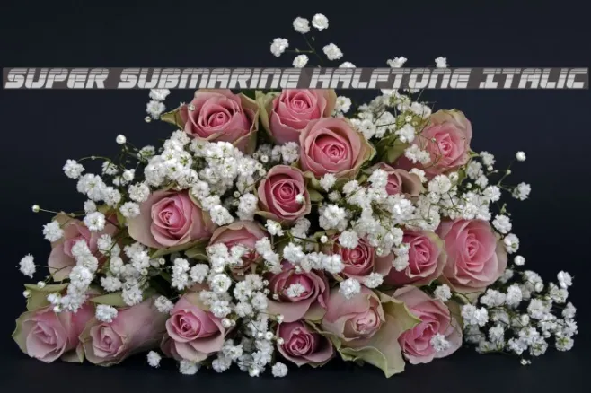 Super Submarine Halftone Italic Example 3