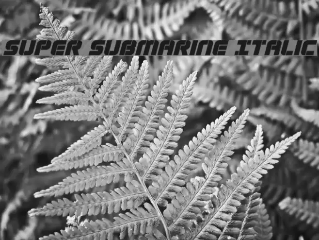 Super Submarine Italic Font examples