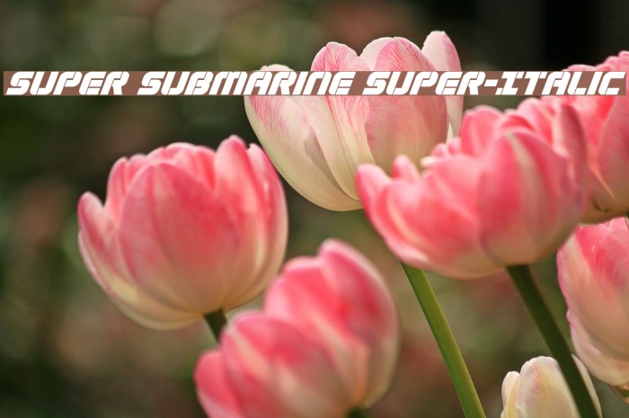 Super Submarine Super-Italic Example 3
