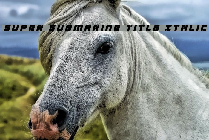 Super Submarine Title Italic Font examples