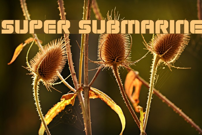 Super Submarine Example 3