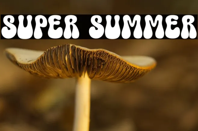 Super Summer Example 1