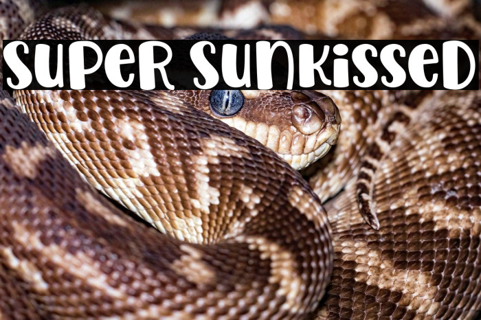 Super Sunkissed Example 1