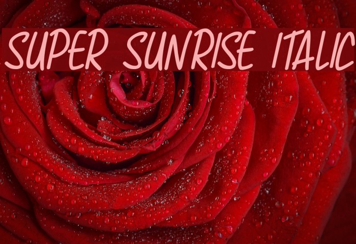 Super Sunrise Italic Font examples