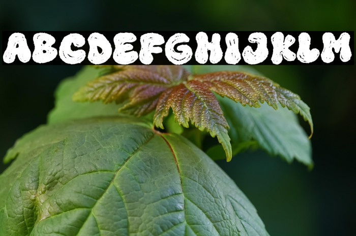 Super Surge Example 1