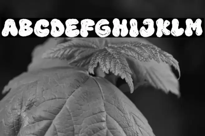 Super Surge Font examples