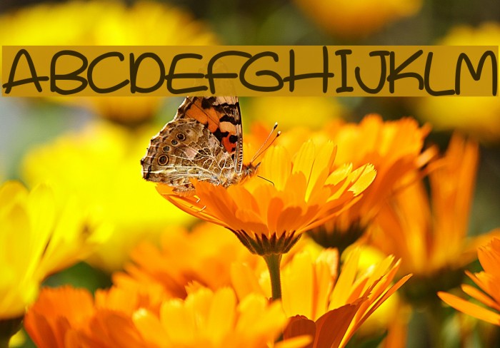 Super Sweet Example 1