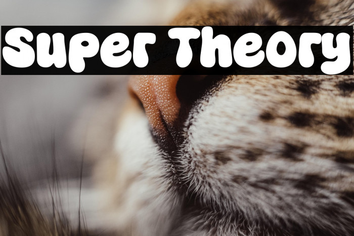 Super Theory Example 2