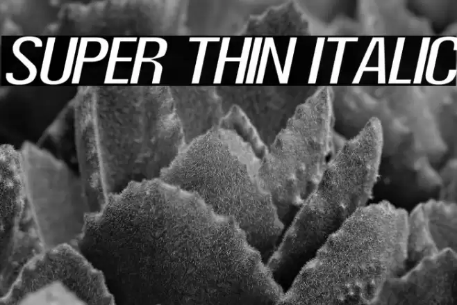 Super Thin Italic Font examples