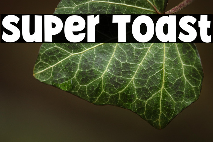 Super Toast Example 1