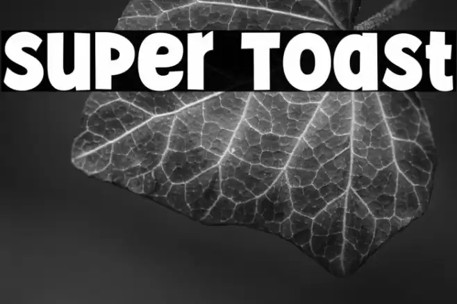 Super Toast フォント examples