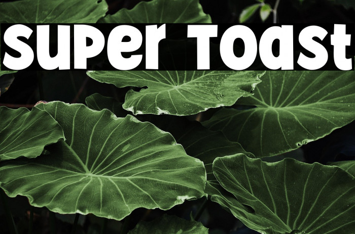 Super Toast Example 3