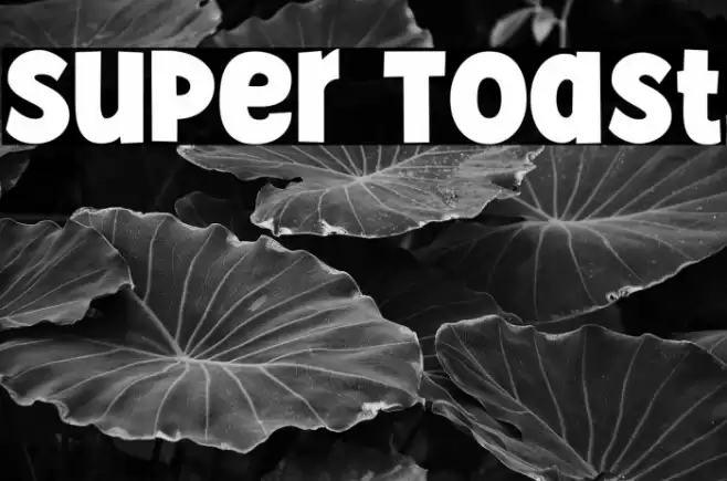 Super Toast フォント examples