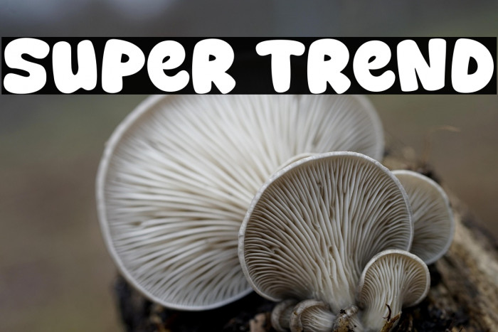 Super Trend Example 1